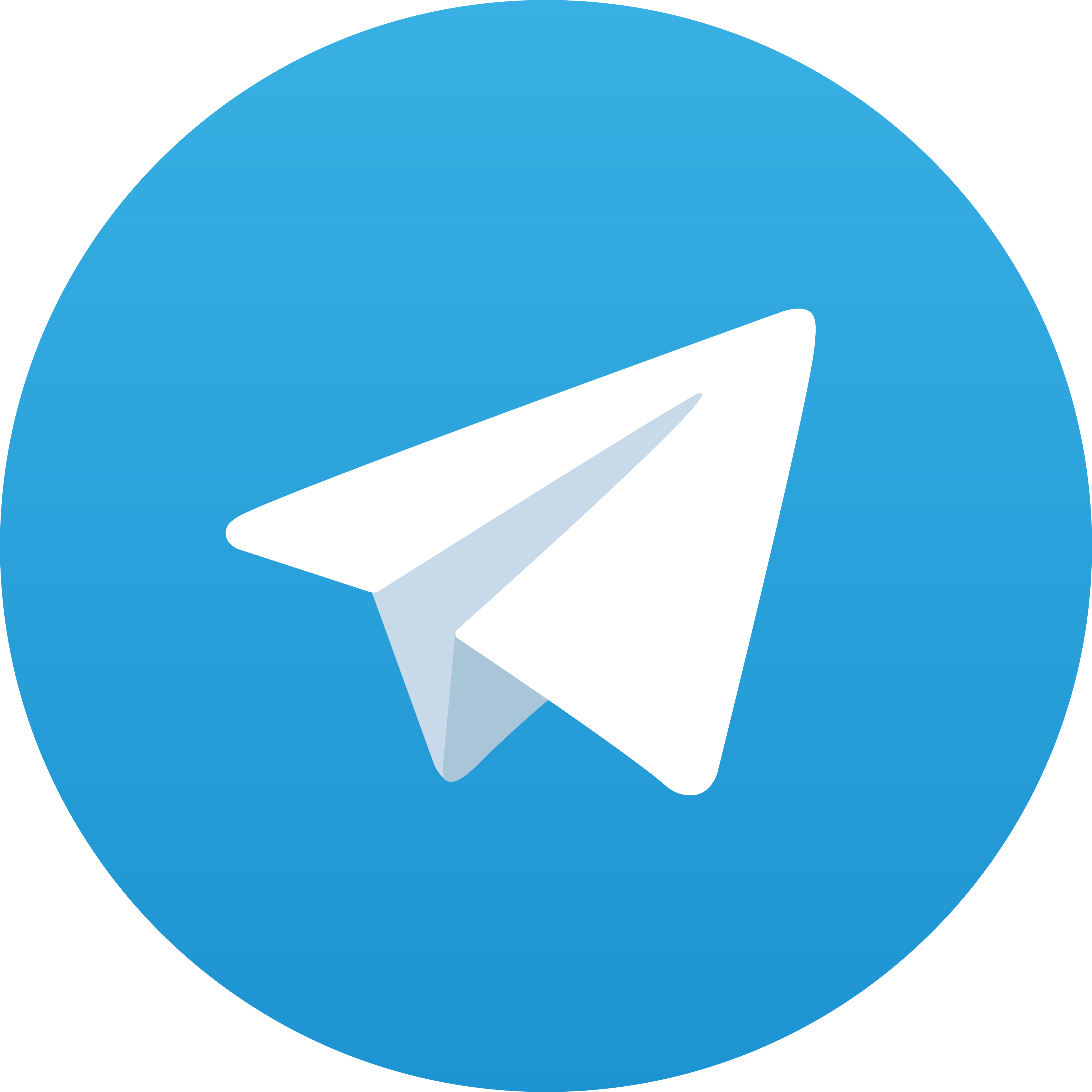 Telegram BULL89